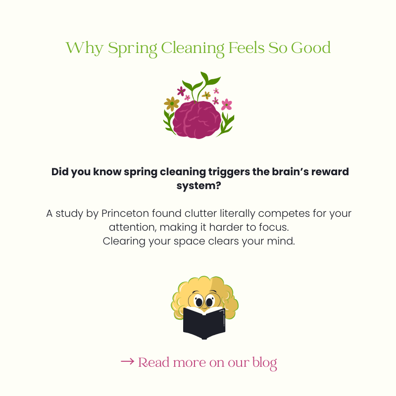 Why Spring Cleaning Feels So Good (It’s Not Just About the Dust)